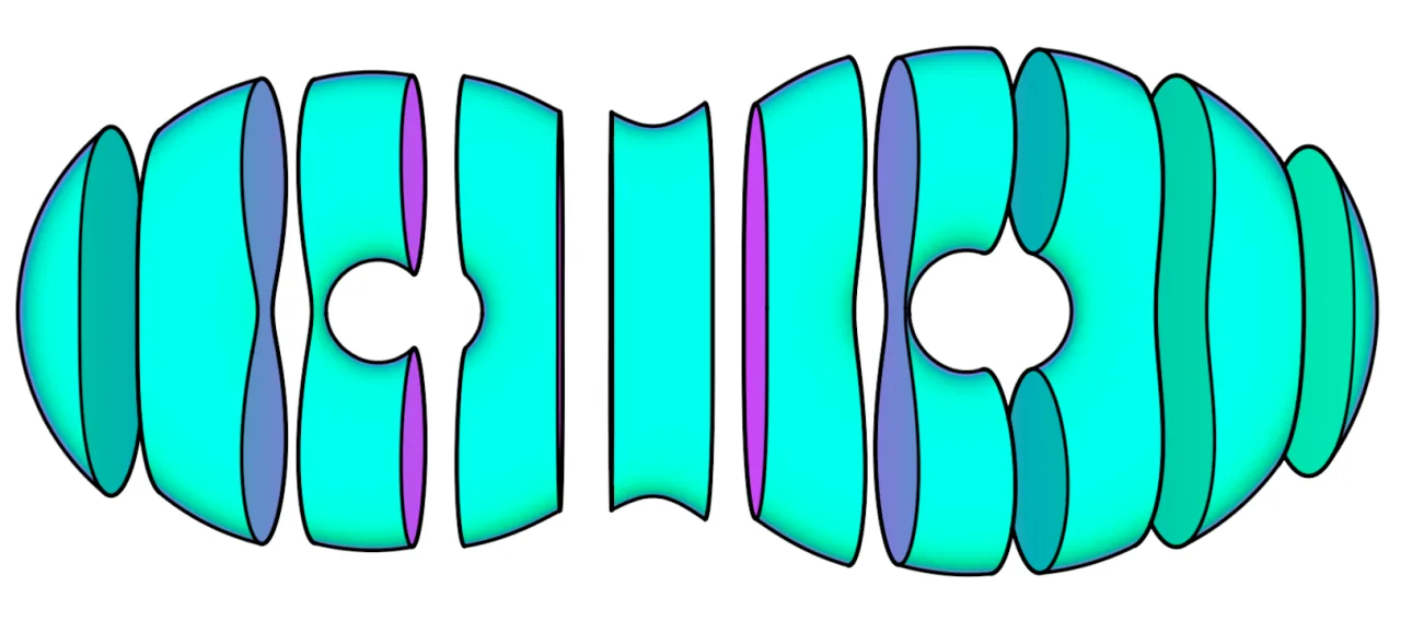 Sample visualization from the Rabdos Vizi Bench evaluation set